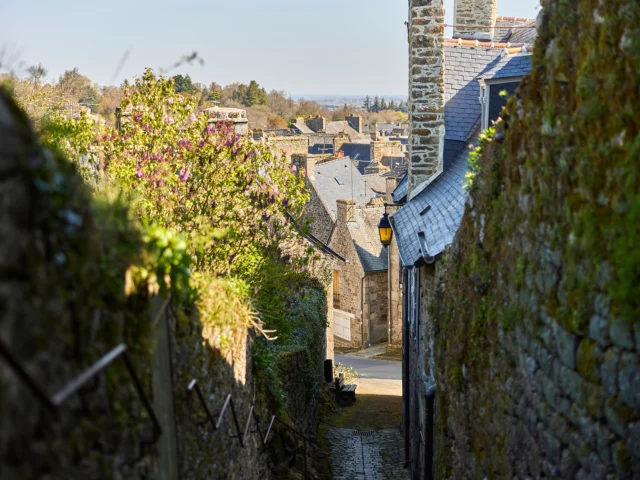 Moncontour-de-Bretagne - ruelle