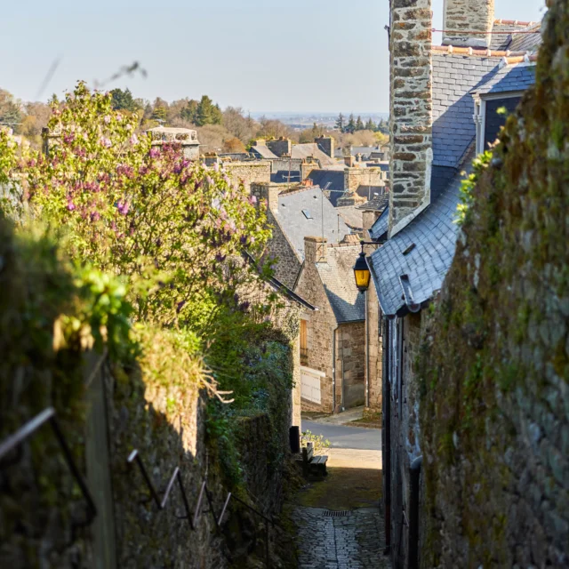 Moncontour-de-Bretagne - ruelle