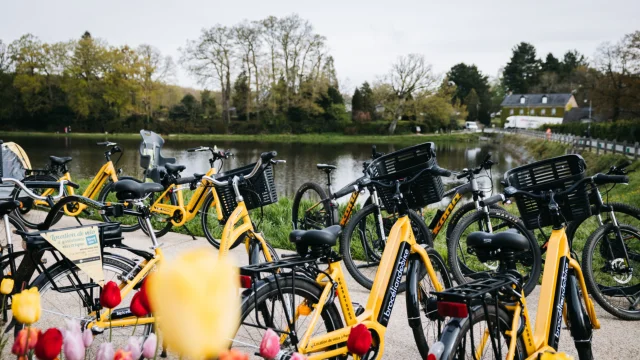 Paimpont - Expérience Bretonne - Brocéliande Bike tour - Vélo