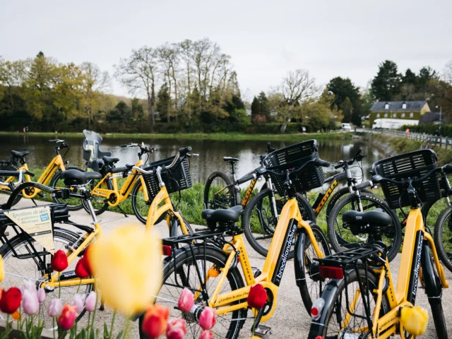 Paimpont - Expérience Bretonne - Brocéliande Bike tour - Vélo