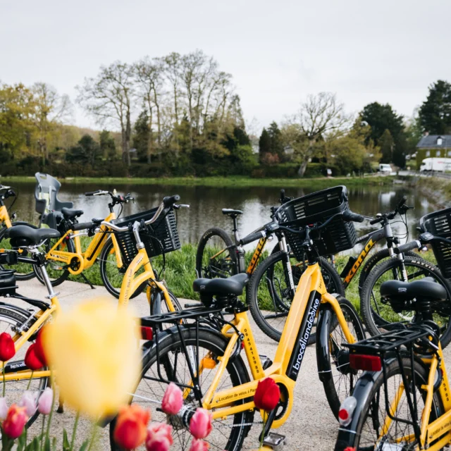 Paimpont - Expérience Bretonne - Brocéliande Bike tour - Vélo