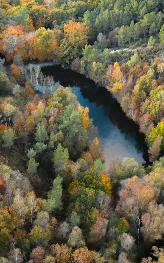 Iffendic - Ruisseau de Mère Fontaine