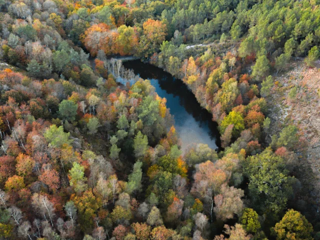 Iffendic - Ruisseau de Mère Fontaine