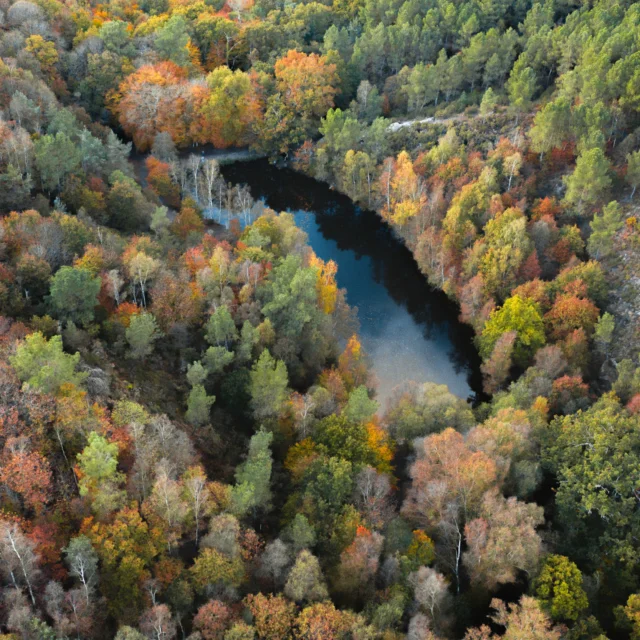 Iffendic - Ruisseau de Mère Fontaine