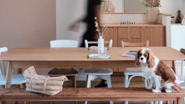 La maison des 11 écluses, Hédé-Bazouges