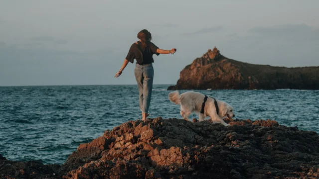 Cancale  - Balade sur la côte de Cancale avec un chien