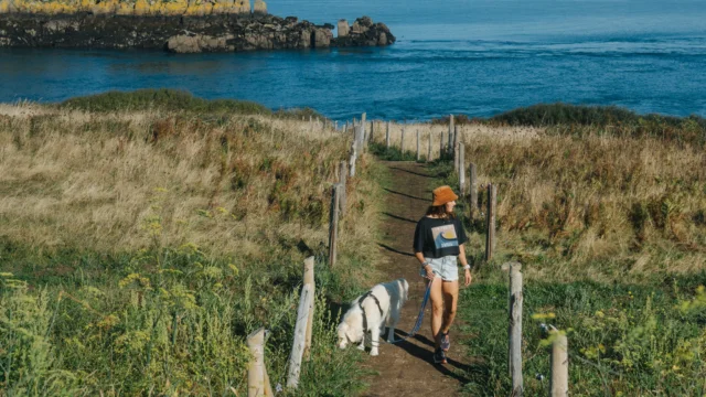 Cancale - Balade sur la Pointe du Grouin avec un chien de compagnie