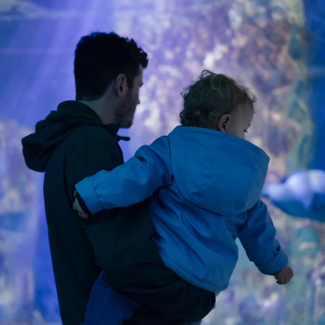 Saint-Malo - En famille à l'aquarium