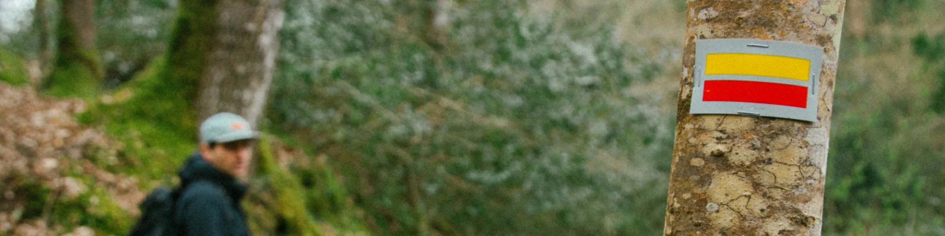 Pontrieux - Randonnée en forêt