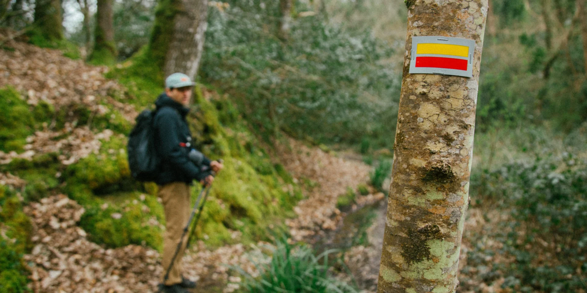 Pontrieux - Randonnée en forêt