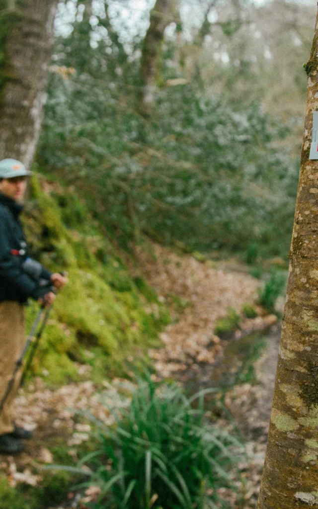 Pontrieux - Randonnée en forêt