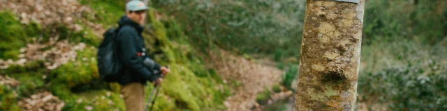 Pontrieux - Randonnée en forêt