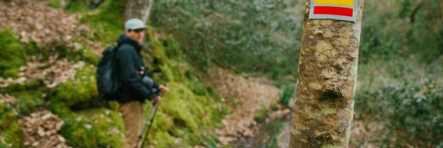 Pontrieux - Randonnée en forêt