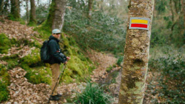 Pontrieux - Randonnée en forêt