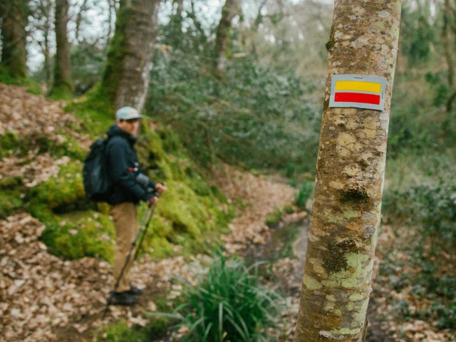Pontrieux - Randonnée en forêt