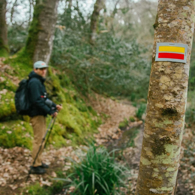 Pontrieux - Randonnée en forêt