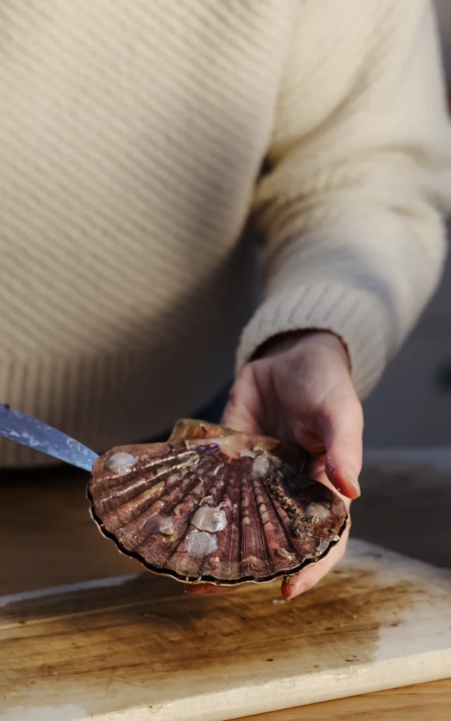 Ouverture coquille Saint-Jacques