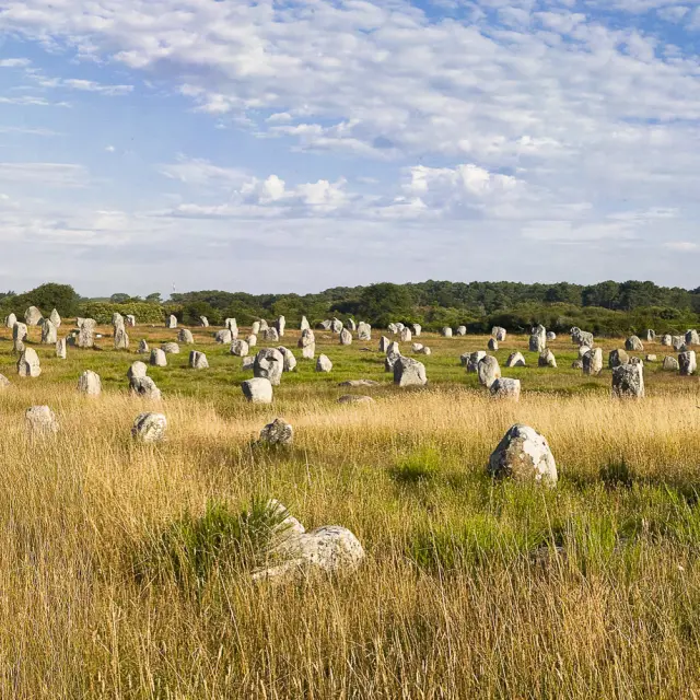 Alignements du Ménec _ Carnac