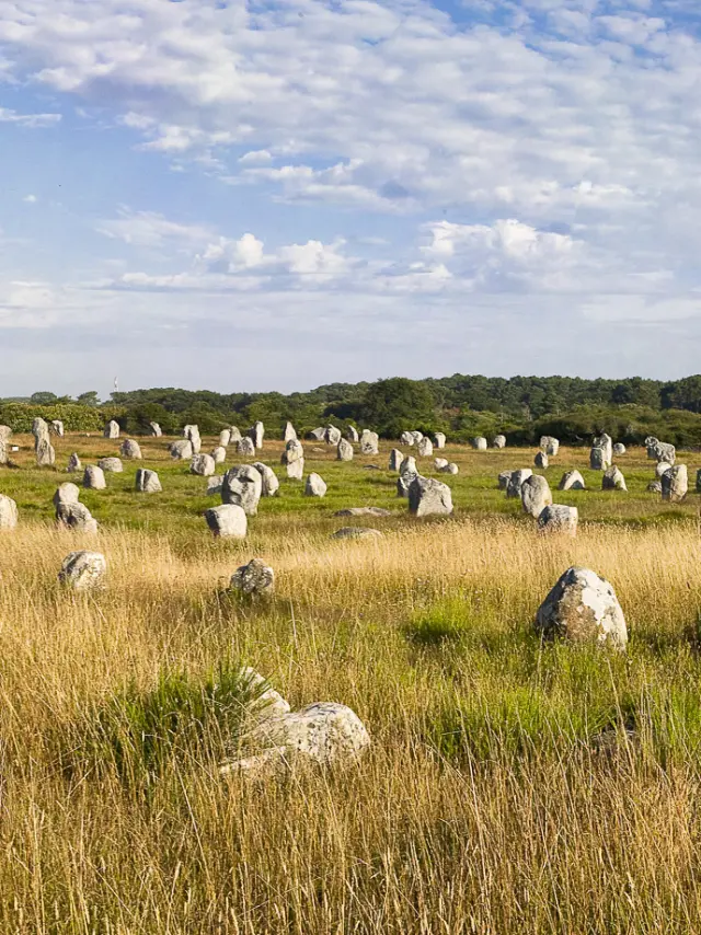 Alignements du Ménec _ Carnac