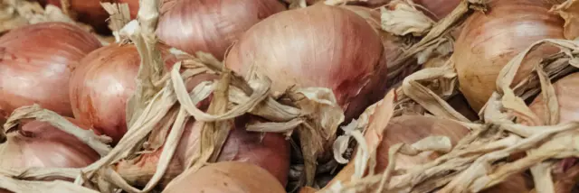 Roscoff - oignons de Roscoff