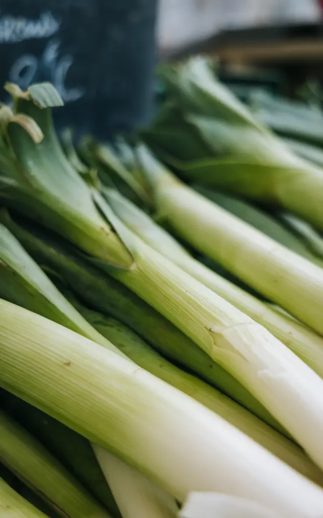 Rennes - Poireaux - Marche Place Hoche