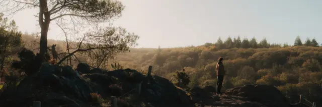 Forêt de Brocéliande - Balade en forêt