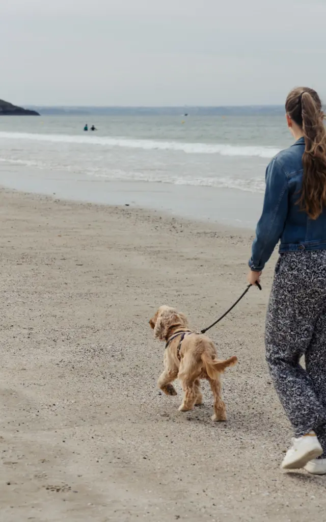 Pléneuf-Val-André - Personne qui promène son chien sur la plage du Val André