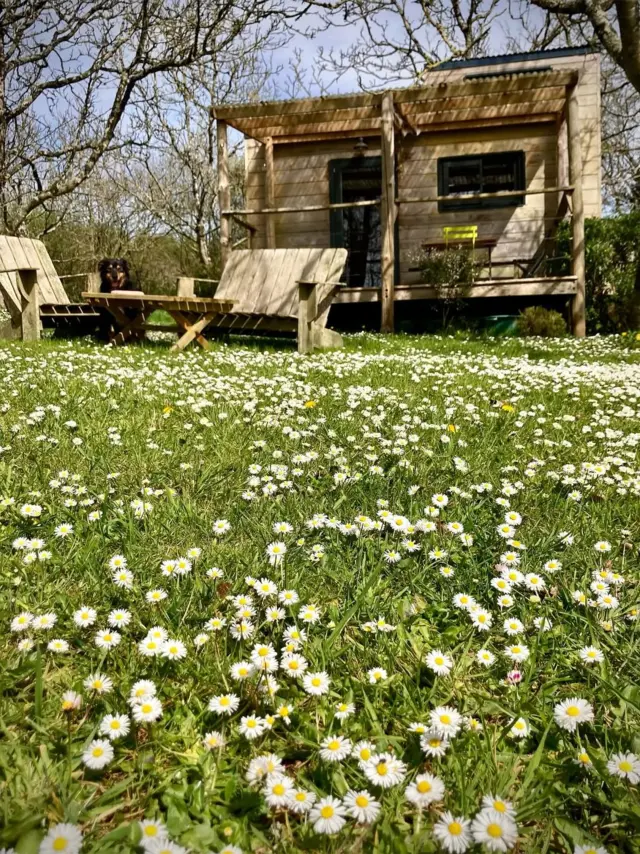 La Tiny Sous Les Noyers - Hébergement insolite - Langolen